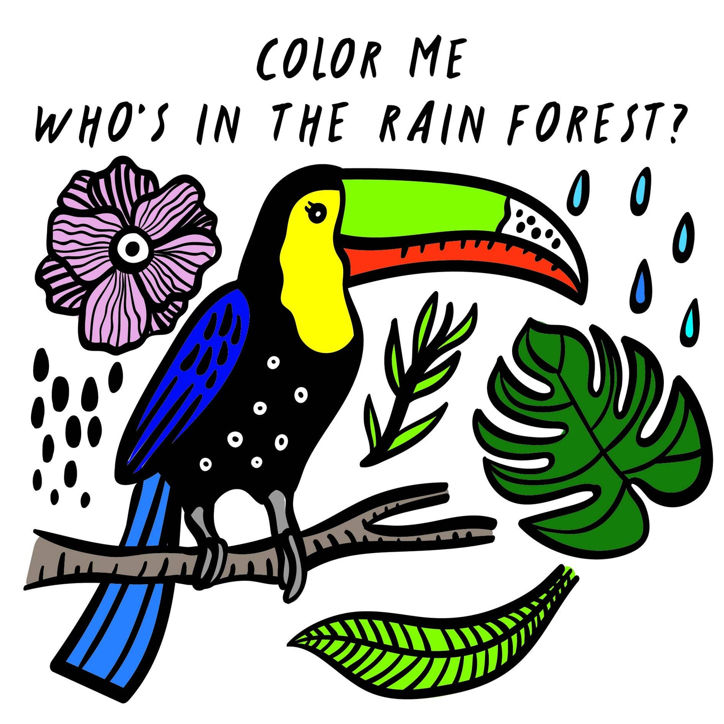 Bath Book - Who's in the Rain Forest?